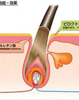 Kaminomoto Shampoo