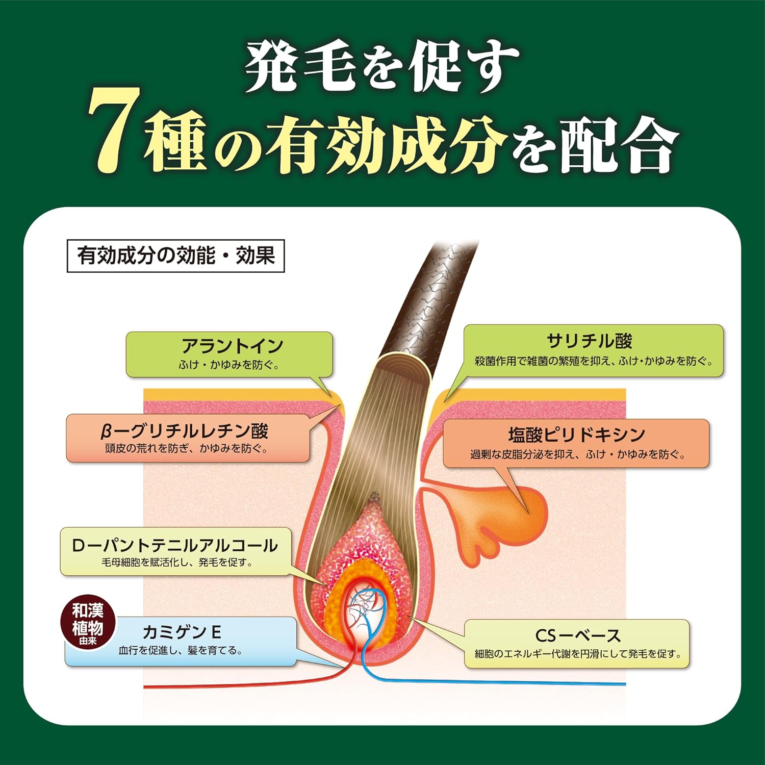 Hair growth oil - KAMINOMOTO HAIR GROWTH TRIGGER . 
