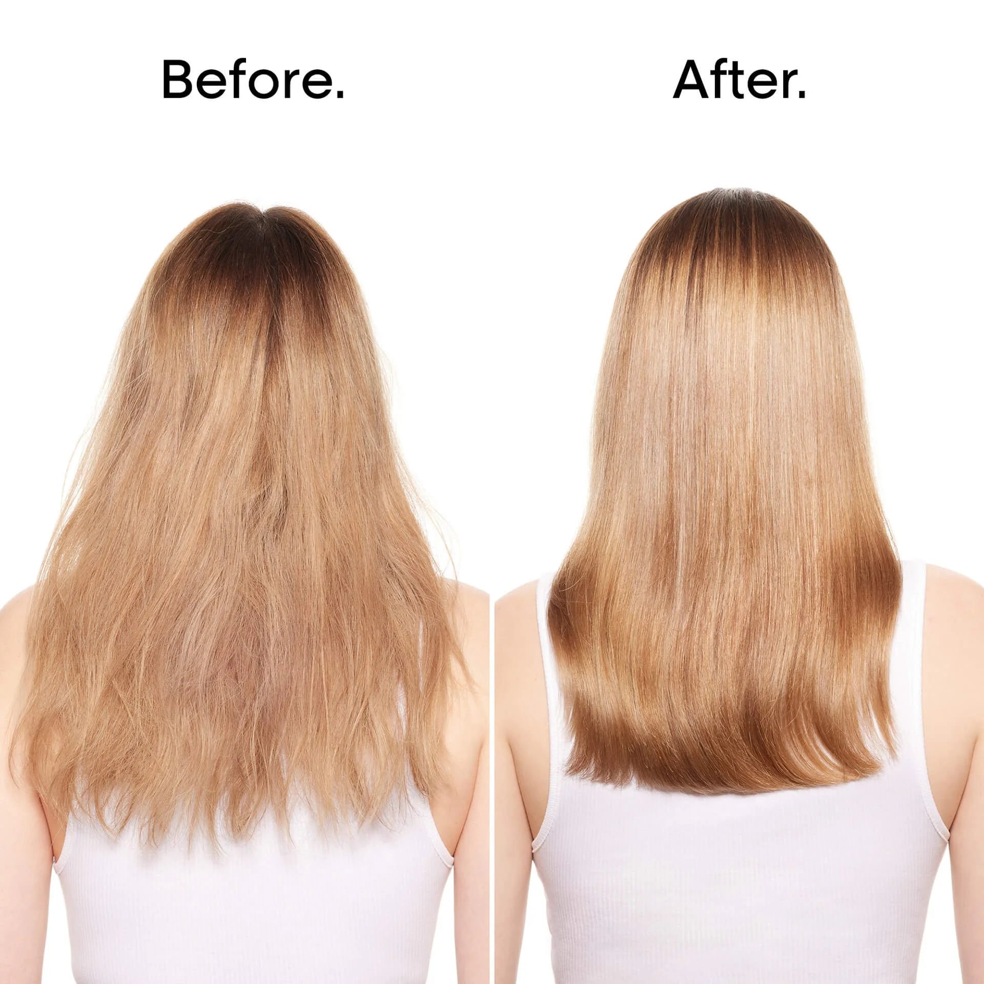 L&#39;Oreal Absolute Repair Shampoo