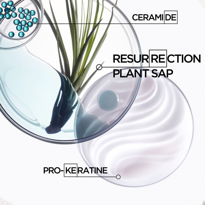 Kérastase Resistance Masque Force Architecte Hair Wellness In